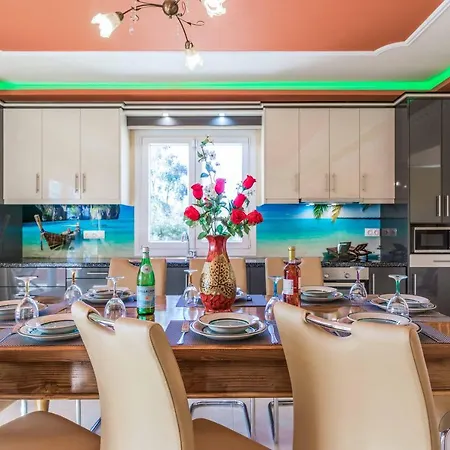 Mirela Megali דאסיה